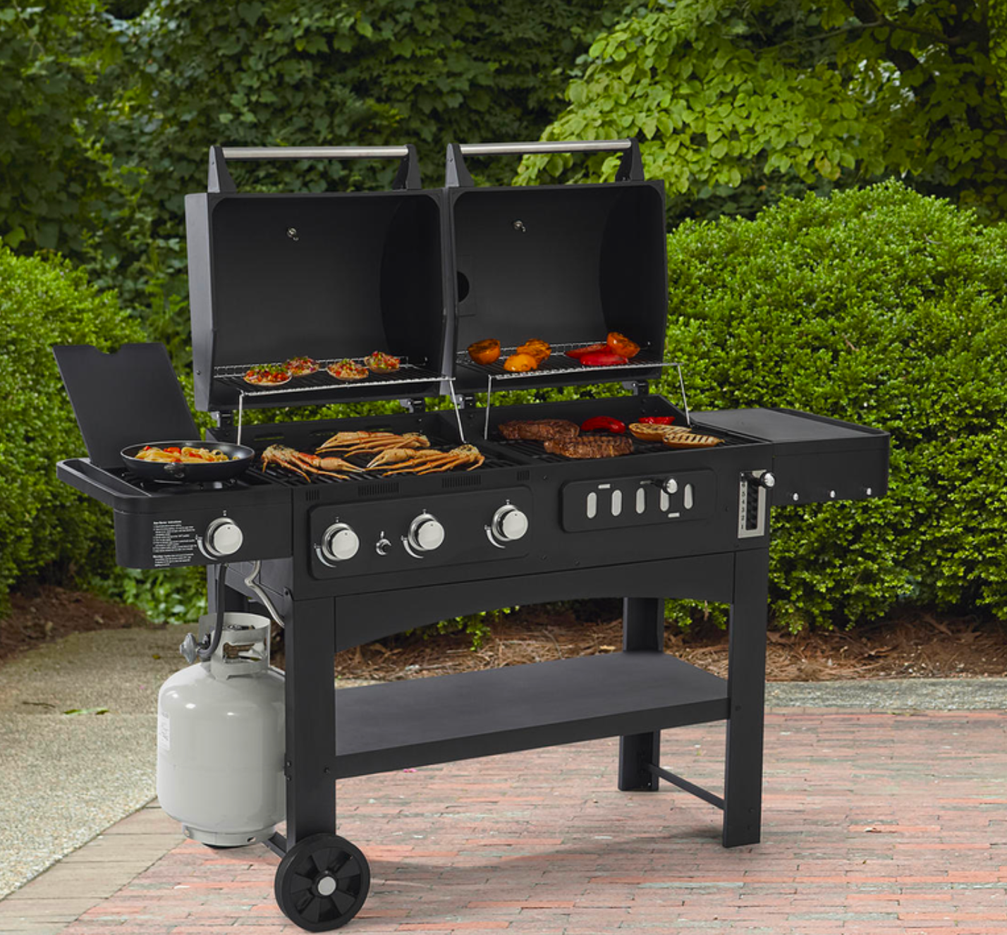 BBQ Gas/ Charcoal Pit